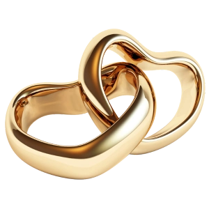 Alianças Casamento